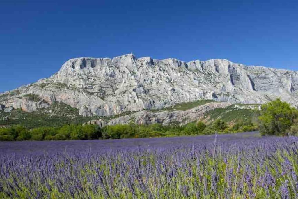 Le Cardinale - Un Voyage En Provence - 2 Chambres Avec Parking آيكس أومبروفينس المظهر الخارجي الصورة